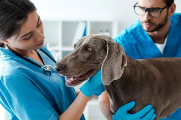 Captura de pantalla 2025-06-24 153145